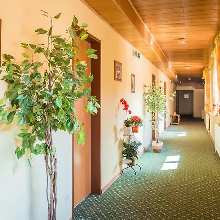 Hotell Garni Steinfeld 3*