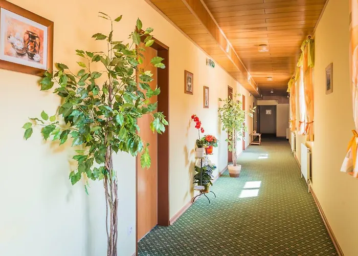 Hotel Garni Steinfeld 3*